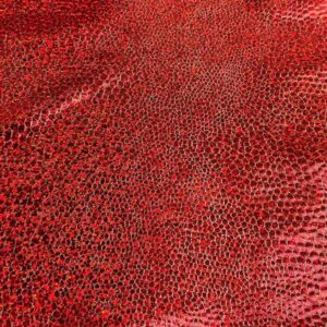 Spandex Fabric